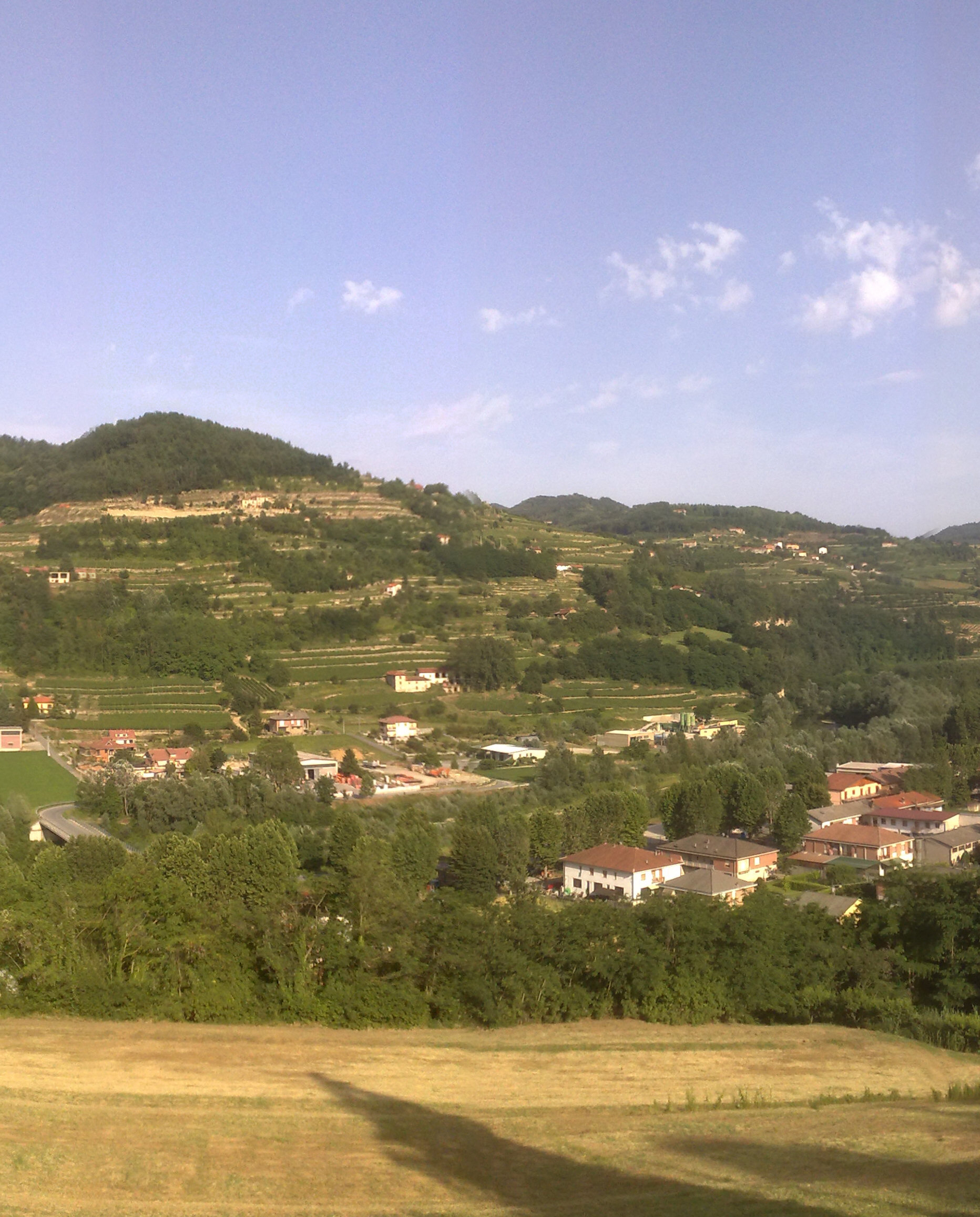 panob